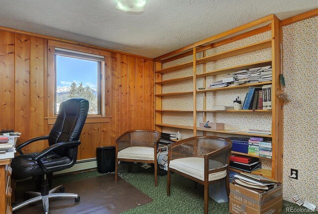 28453 County Road 337, Buena Vista, CO 81211 - office space featuring wood walls and a textured ceiling