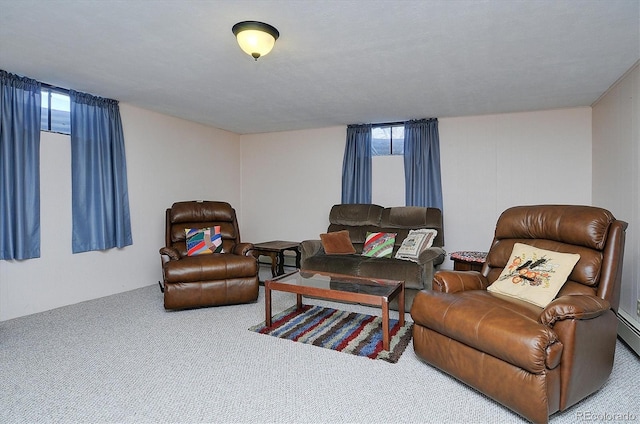 28453 County Road 337, Buena Vista, CO 81211 - living area with carpet floors