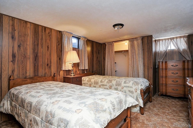 28453 County Road 337, Buena Vista, CO 81211 - carpeted bedroom featuring a closet and wood walls