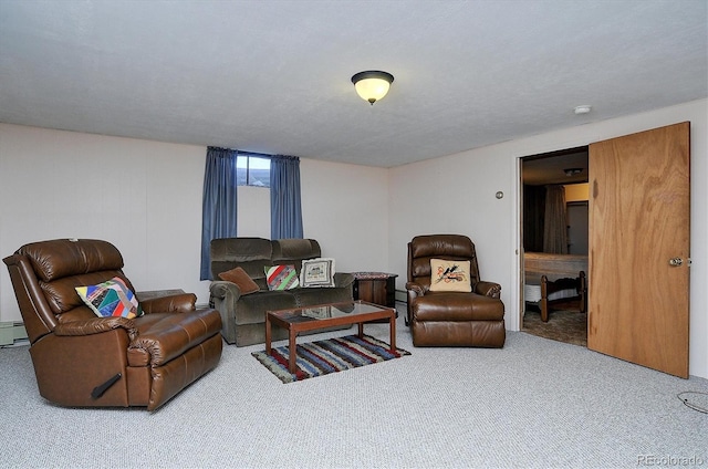 28453 County Road 337, Buena Vista, CO 81211 - living area featuring carpet and baseboard heating