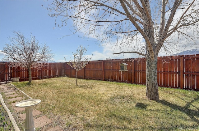 28453 County Road 337, Buena Vista, CO 81211 - view of yard with a fenced backyard