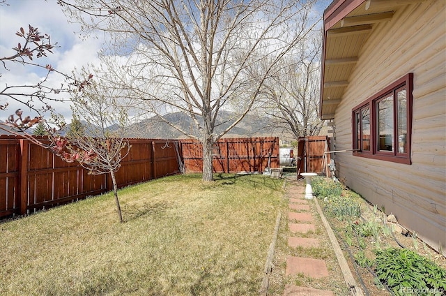 28453 County Road 337, Buena Vista, CO 81211 - view of yard featuring a fenced backyard