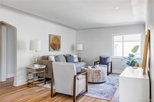 living room featuring light wood-type flooring