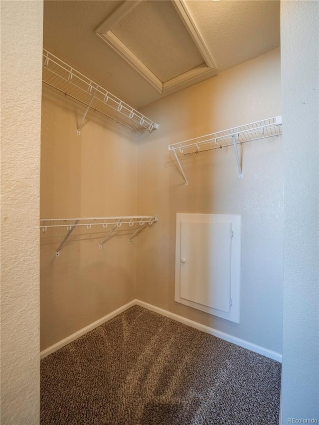 spacious closet with carpet flooring