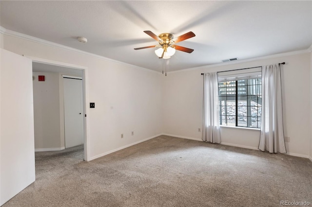 2132 Denton Grv, Colorado Springs, CO 80919 - photo 13