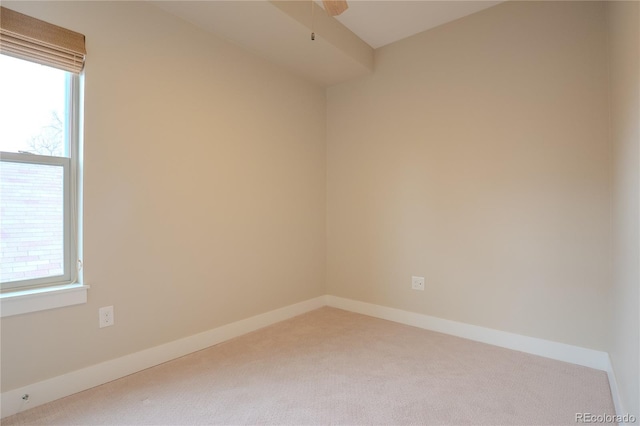 carpeted empty room with ceiling fan and a healthy amount of sunlight