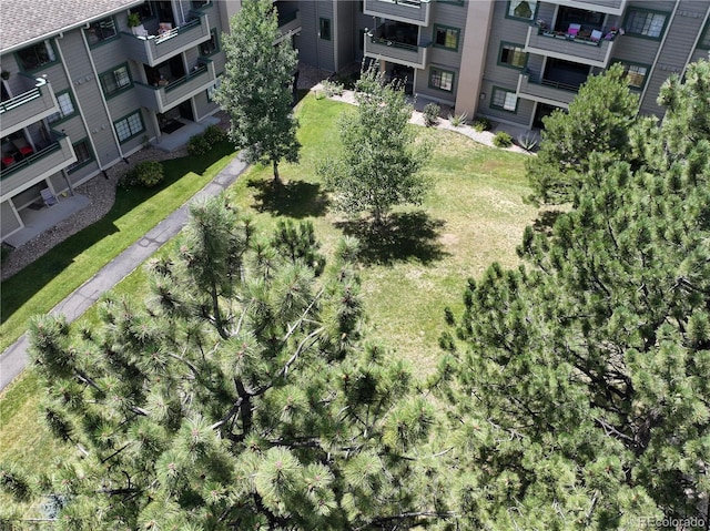 31719 Rocky Village Dr Unit 408, Evergreen, CO 80439 - photo 2
