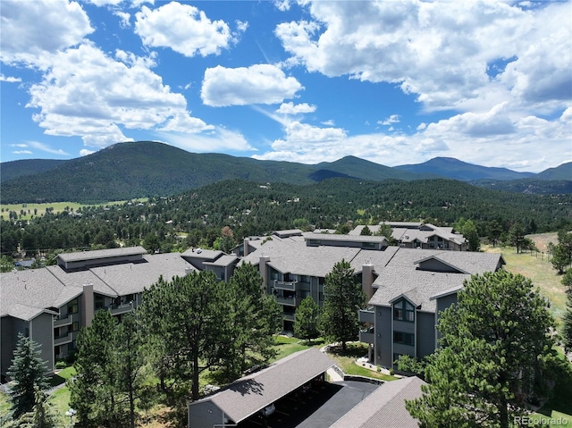 31719 Rocky Village Dr Unit 408, Evergreen, CO 80439 - photo 18