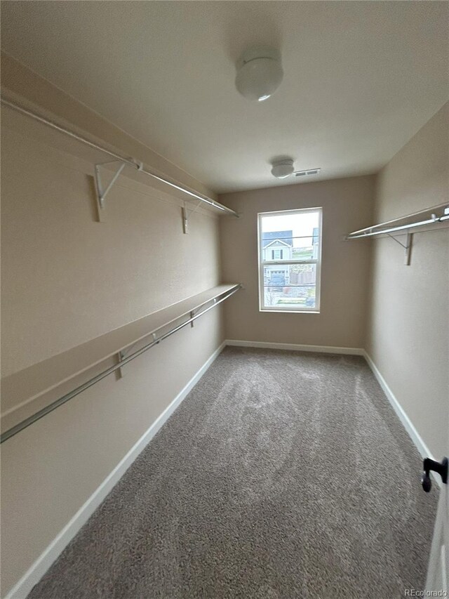 5957 Wheatberry Dr, Brighton, CO 80601 - photo 13