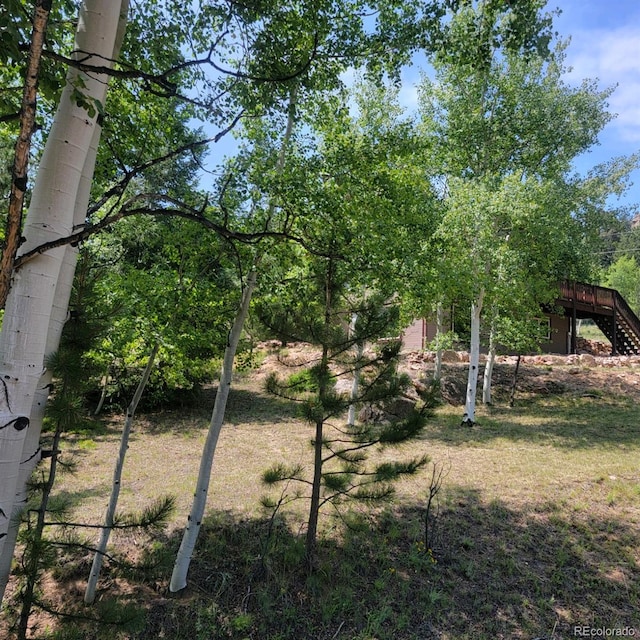 view of yard featuring a wooden deck