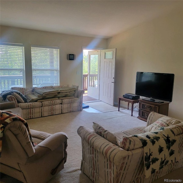 view of carpeted living room