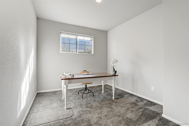 home office with carpet floors