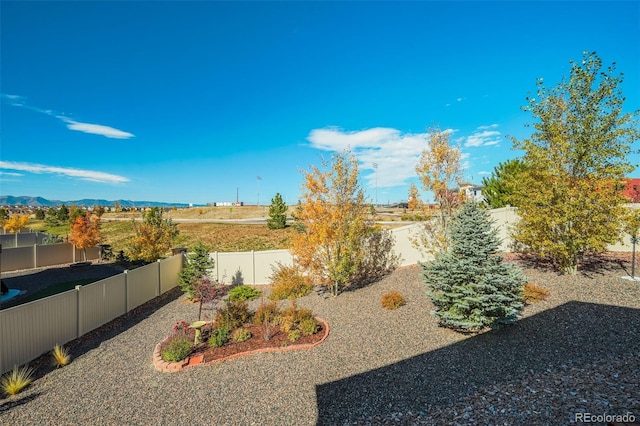 view of yard with a mountain view