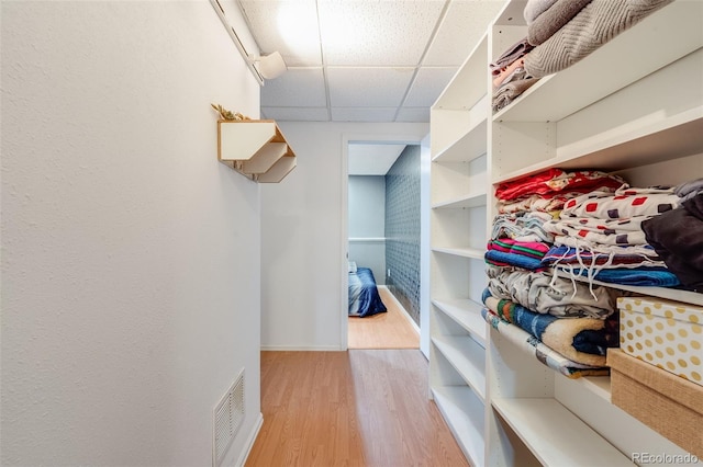 walk in closet featuring light wood-style flooring, visible vents, and a drop ceiling