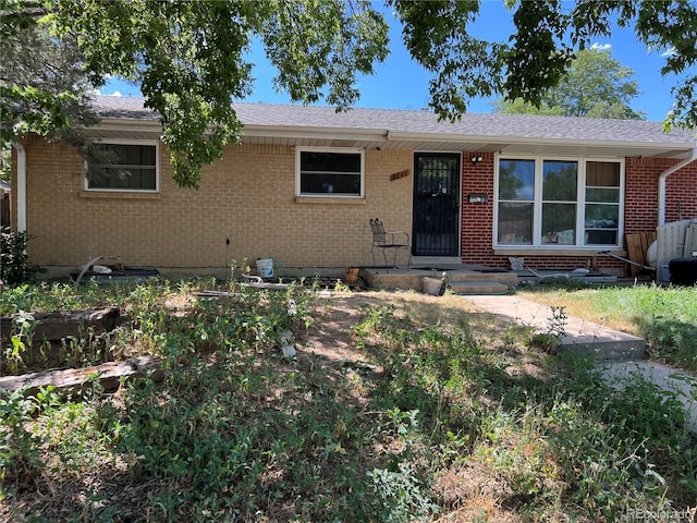 8741 Faraday St, Denver, CO 80229 - ranch-style home featuring brick siding and roof with shingles