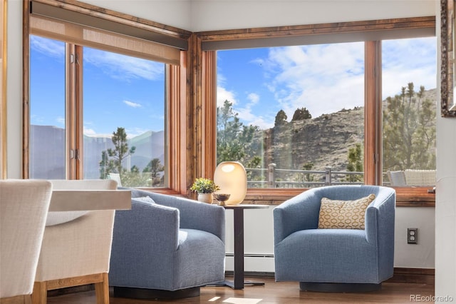 interior space featuring plenty of natural light, baseboard heating, and wood finished floors