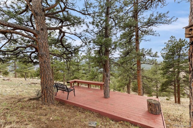 2063 Montane Dr E, Golden, CO 80401 - photo 48
