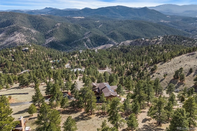 2063 Montane Dr E, Golden, CO 80401 - photo 49