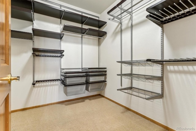 walk in closet featuring carpet