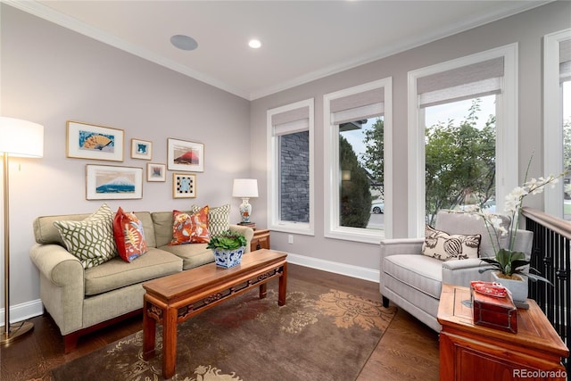 living room featuring dark wood-type flooring and ornamental molding