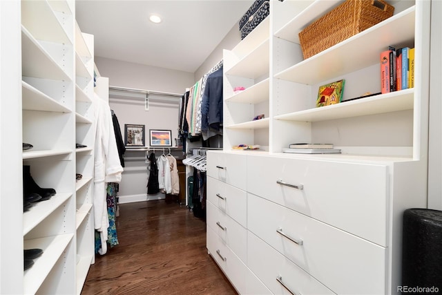 walk in closet featuring dark wood-type flooring