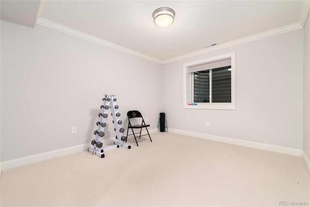 unfurnished room featuring crown molding and carpet floors