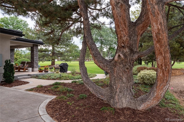 view of yard with a patio