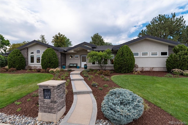 ranch-style house featuring a front lawn