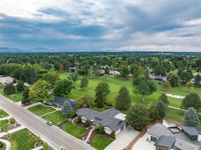 bird's eye view