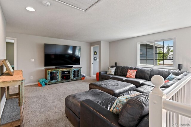 879 Quintana Ln, Erie, CO 80516 - living room with carpet flooring and baseboards