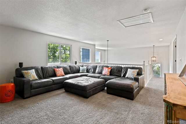 879 Quintana Ln, Erie, CO 80516 - living area featuring carpet floors and a textured ceiling