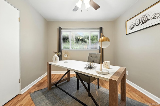 4465 Zephyr St, Wheat Ridge, CO 80033 - home office with light wood-style flooring and ceiling fan