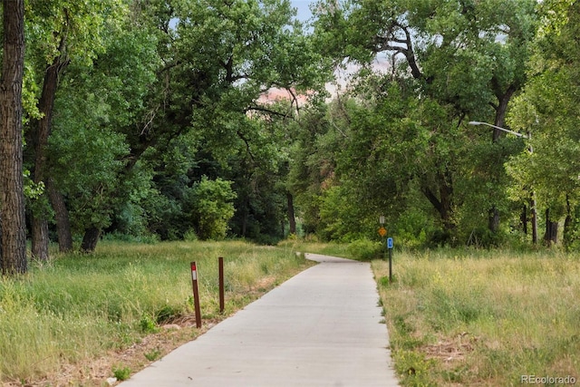 4465 Zephyr St, Wheat Ridge, CO 80033 - surrounding community featuring a forest view