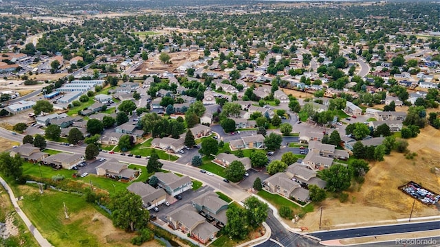 bird's eye view