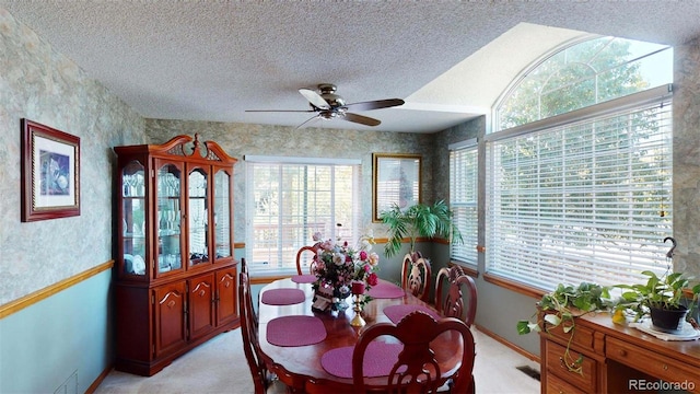 dining space featuring a wealth of natural light, ceiling fan, and a textured ceiling