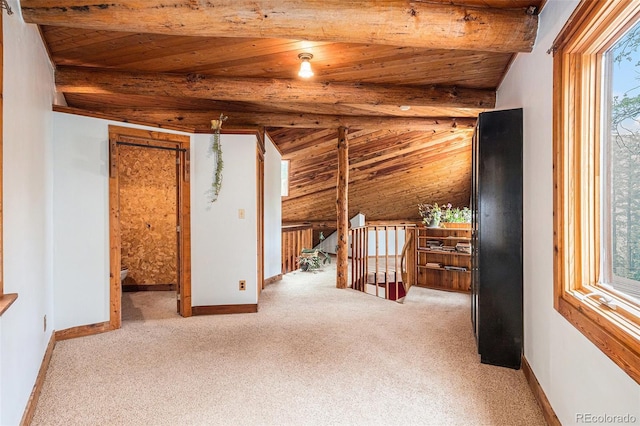 10419 Christopher Dr, Conifer, CO 80433 - empty room with wooden ceiling, carpet, and baseboards