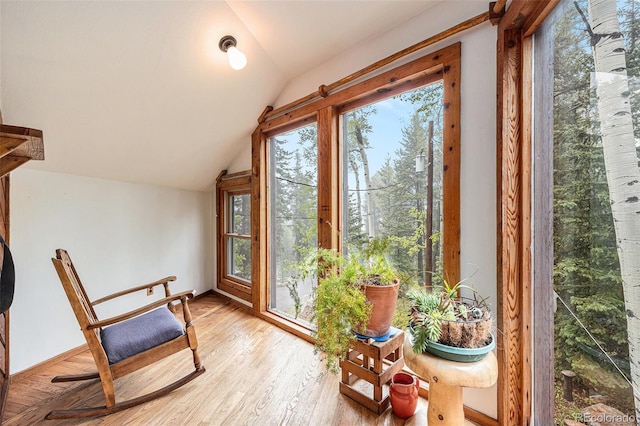 10419 Christopher Dr, Conifer, CO 80433 - doorway to outside with vaulted ceiling, healthy amount of natural light, and light wood-style flooring