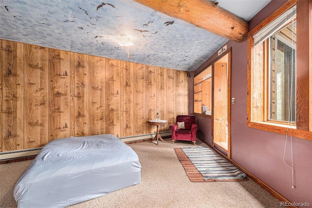 10419 Christopher Dr, Conifer, CO 80433 - living area with a baseboard radiator, carpet floors, wood walls, and baseboards