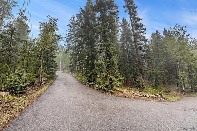 10419 Christopher Dr, Conifer, CO 80433 - view of street featuring a view of trees