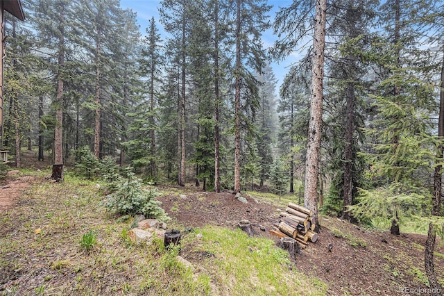 10419 Christopher Dr, Conifer, CO 80433 - view of tree filled area