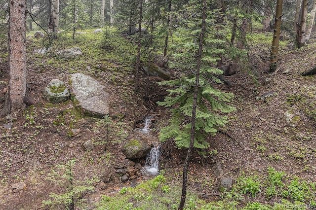 10419 Christopher Dr, Conifer, CO 80433 - view of wooded area