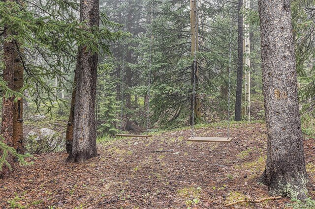 10419 Christopher Dr, Conifer, CO 80433 - view of wooded area