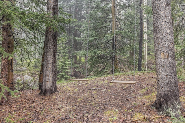 10419 Christopher Dr, Conifer, CO 80433 - view of tree filled area