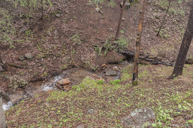 10419 Christopher Dr, Conifer, CO 80433 - view of local wilderness