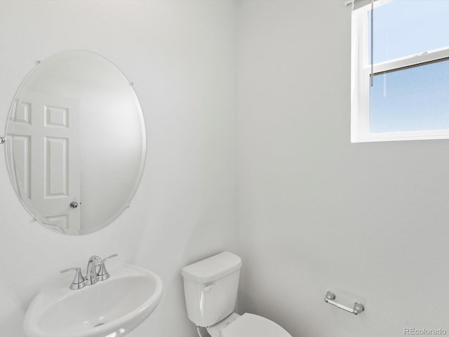 4681 Sunsplash Way, Johnstown, CO 80534 - photo 5