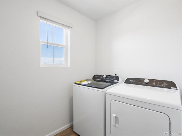 4681 Sunsplash Way, Johnstown, CO 80534 - photo 38