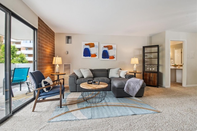 2880 S Locust St Unit 305N, Denver, CO 80222 - living area with carpet flooring