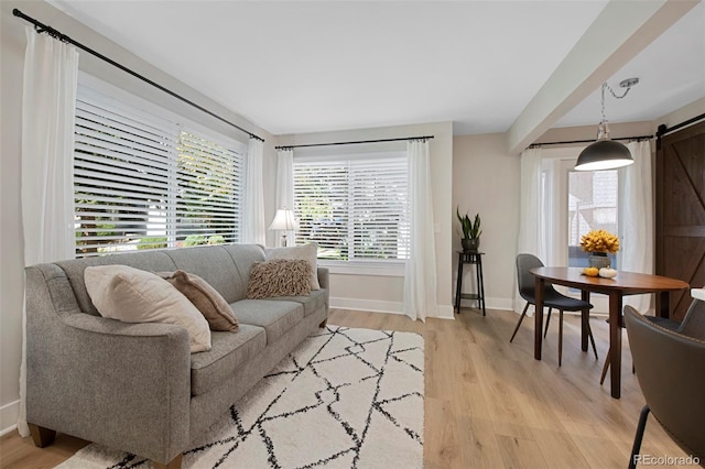 living room featuring light hardwood / wood-style floors and a barn door