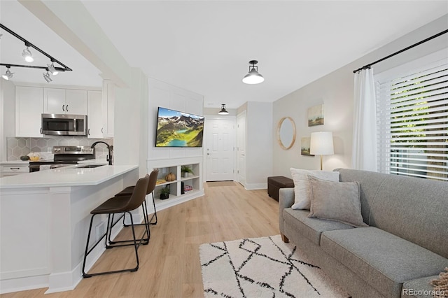 living room featuring sink and light hardwood / wood-style floors