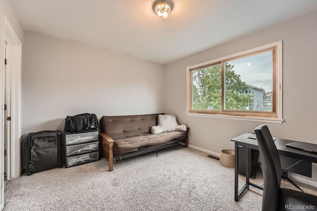 5136 S Ceylon St, Centennial, CO 80015 - office featuring carpet flooring and baseboards